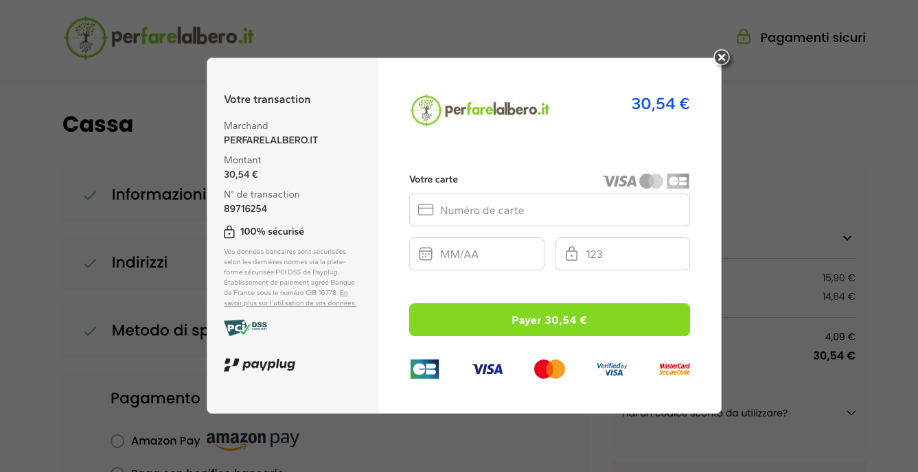 page de paiement