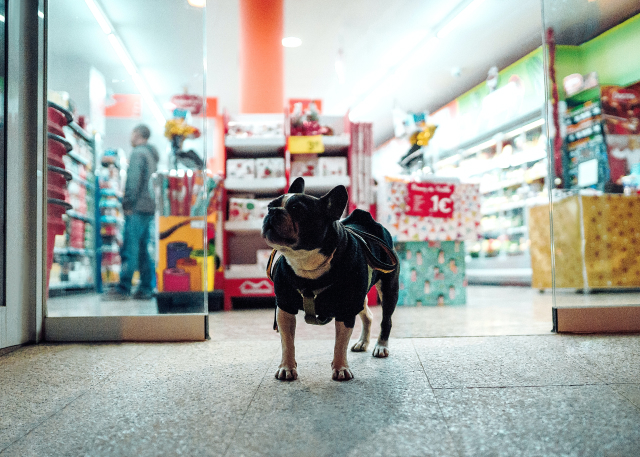 GEA Pet Shop: un'esperienza cliente senza attrito